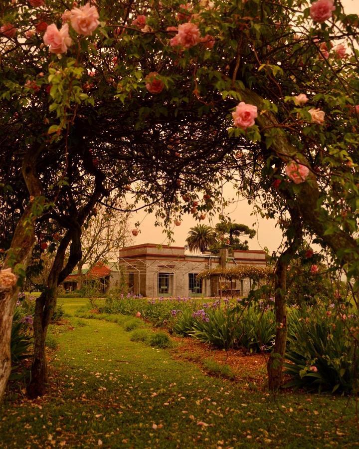 Estancia El Cangue Porvenir エクステリア 写真