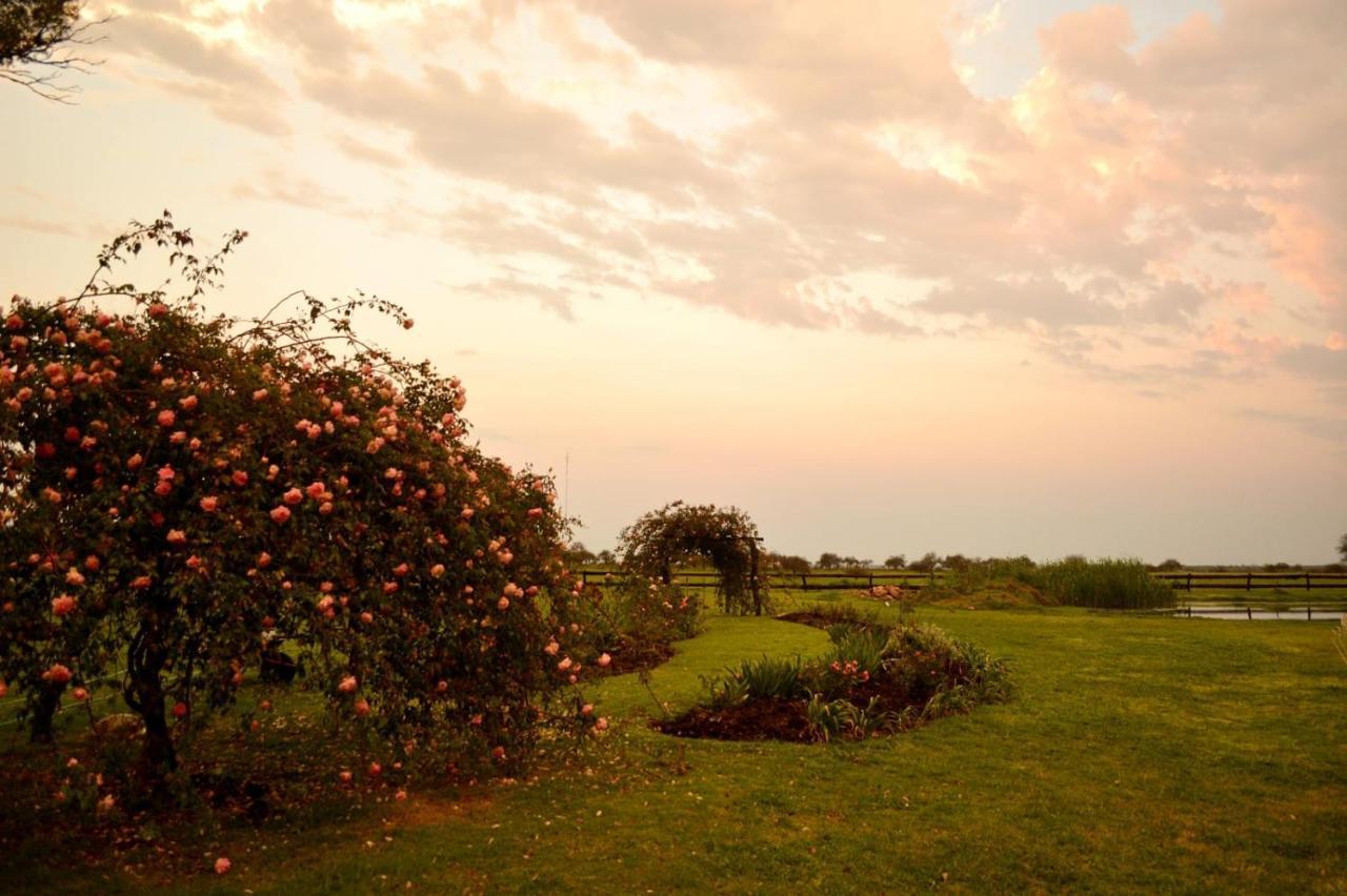 Estancia El Cangue Porvenir エクステリア 写真