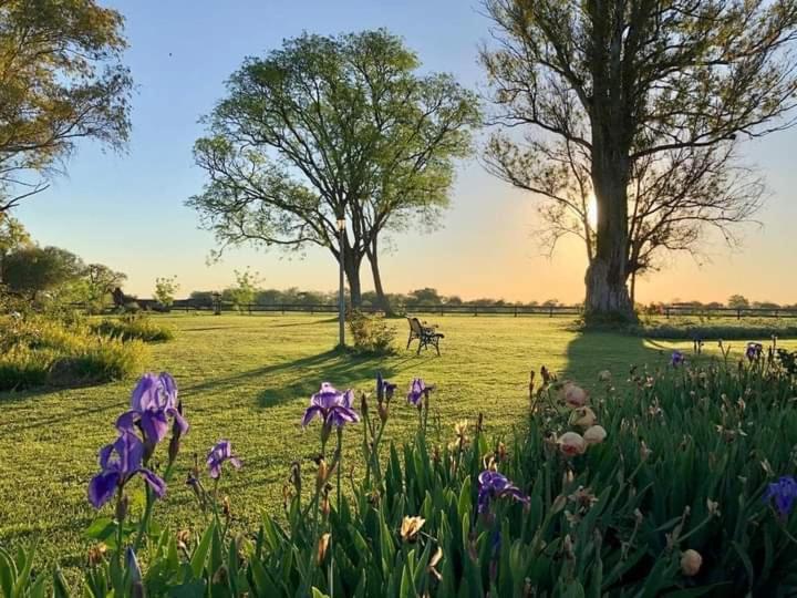 Estancia El Cangue Porvenir エクステリア 写真