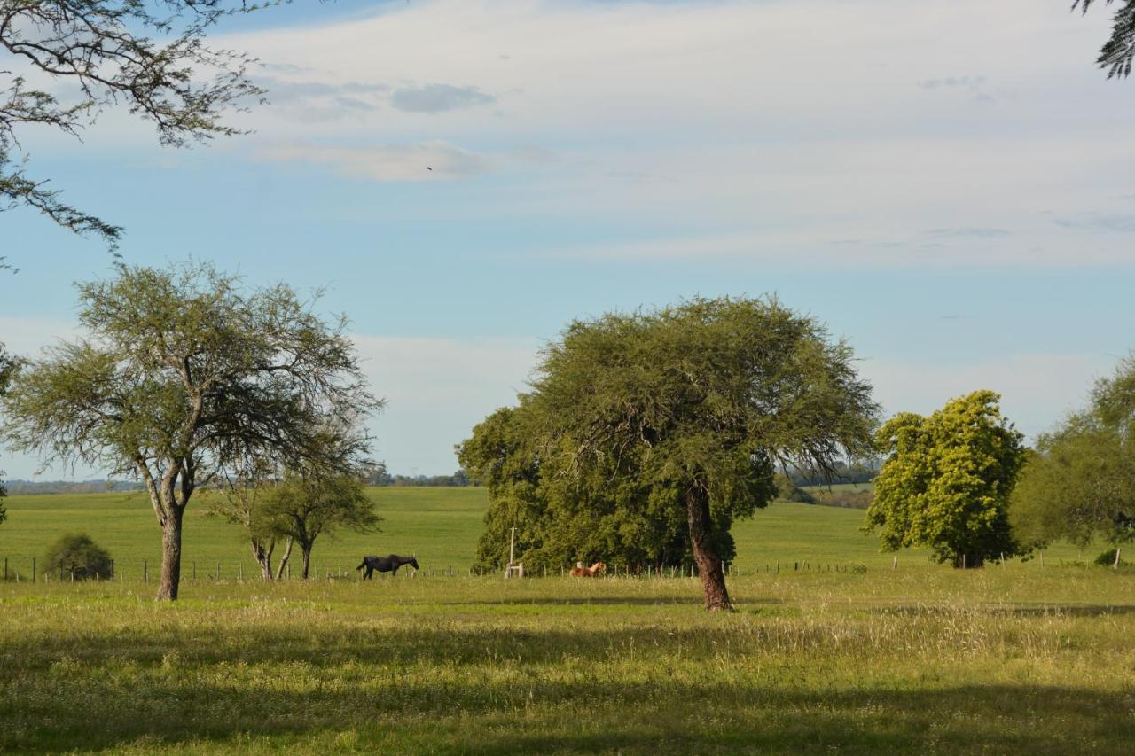 Estancia El Cangue Porvenir エクステリア 写真