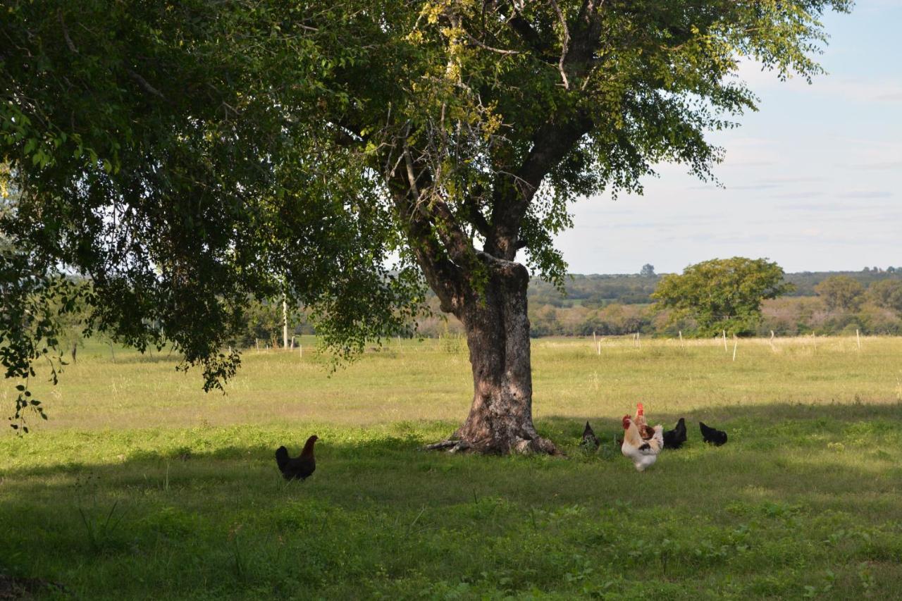 Estancia El Cangue Porvenir エクステリア 写真