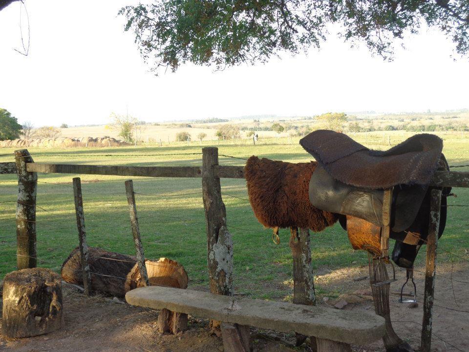 Estancia El Cangue Porvenir エクステリア 写真