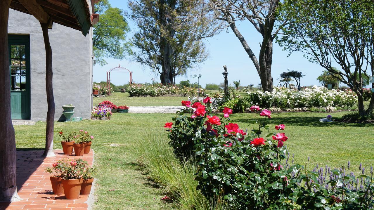 Estancia El Cangue Porvenir エクステリア 写真