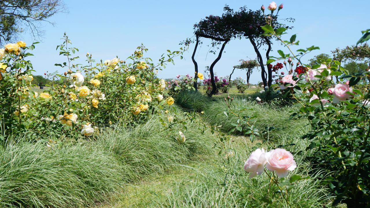 Estancia El Cangue Porvenir エクステリア 写真