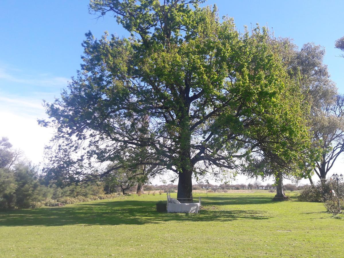 Estancia El Cangue Porvenir エクステリア 写真