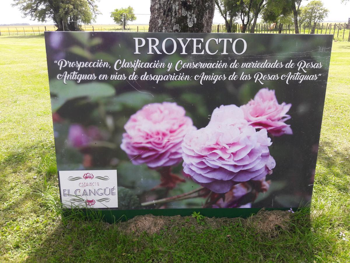 Estancia El Cangue Porvenir エクステリア 写真