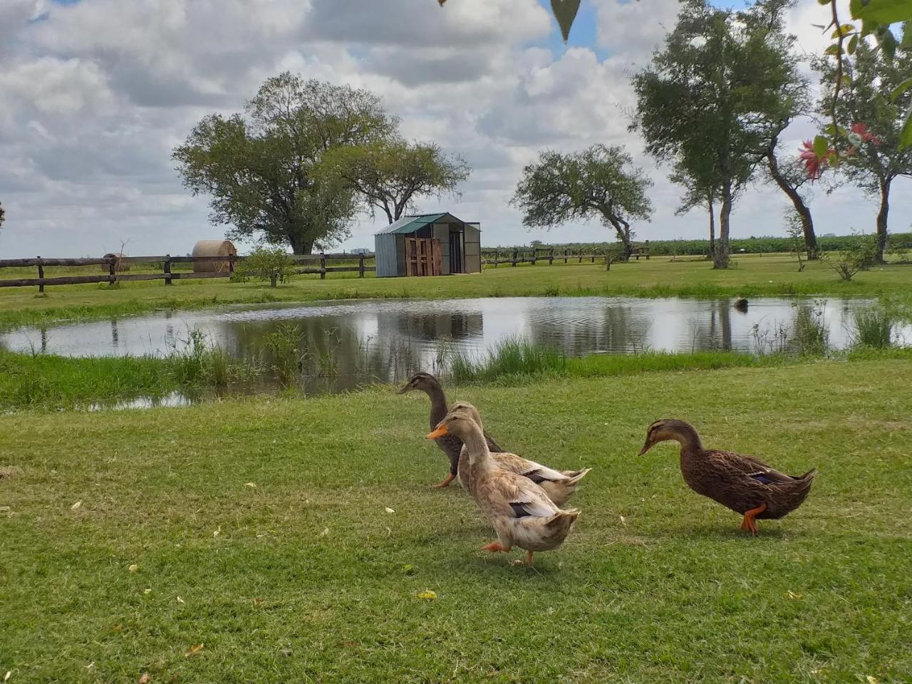 Estancia El Cangue Porvenir エクステリア 写真