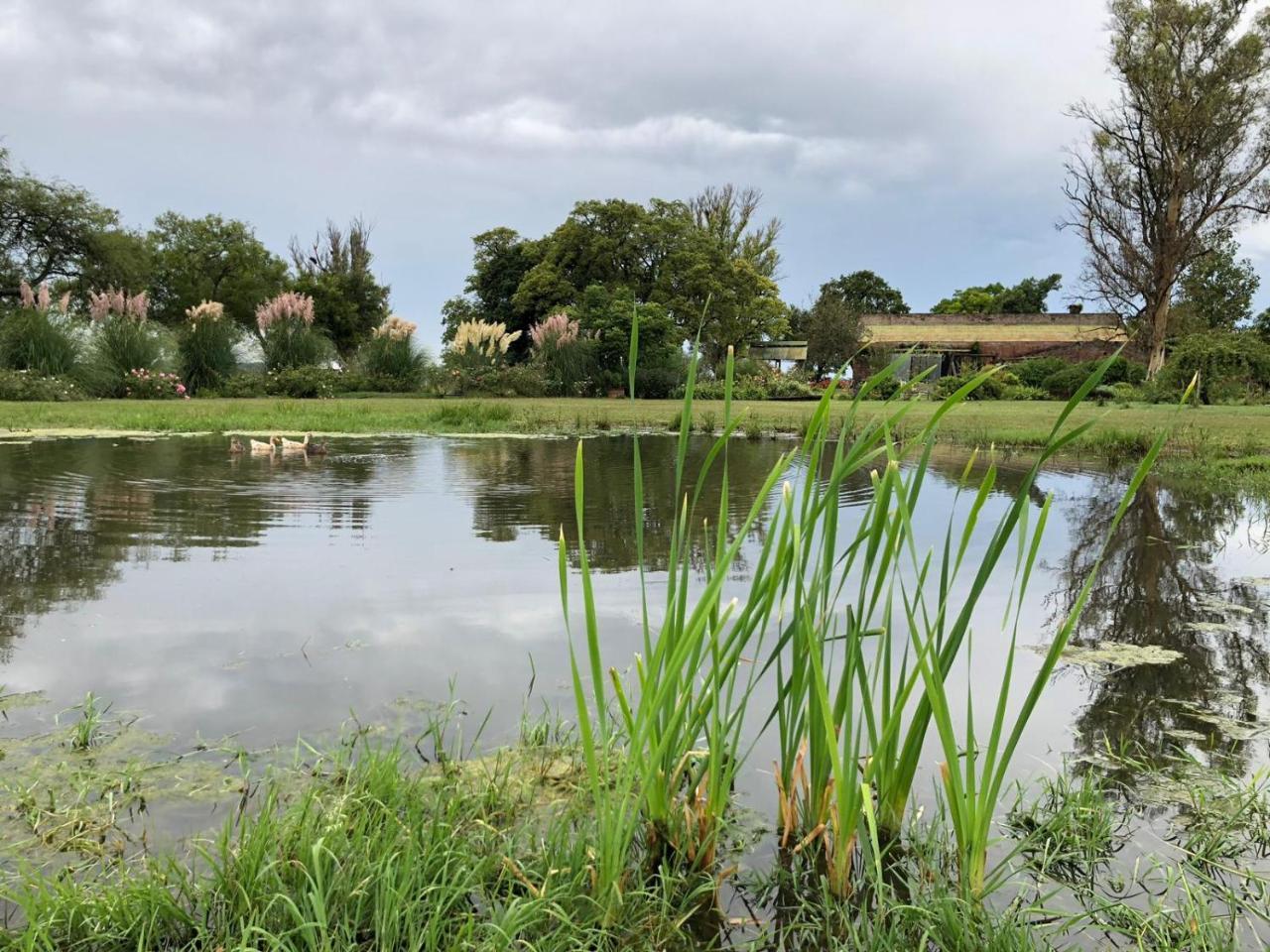 Estancia El Cangue Porvenir エクステリア 写真